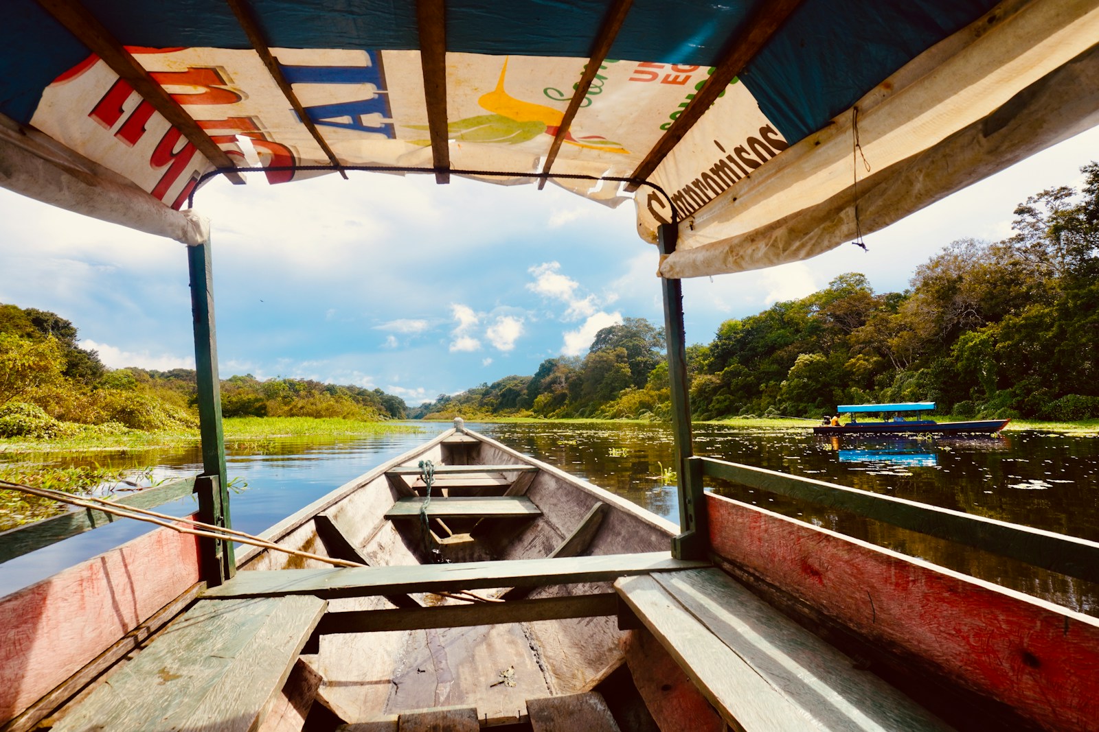 Paseo en bote por un río de la selva amazónica