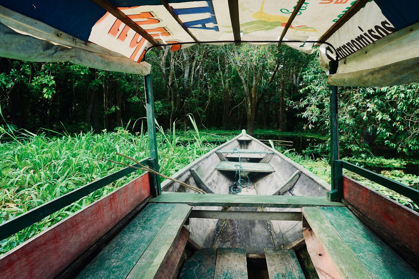 Selva del Amazonas vista desde un bote
