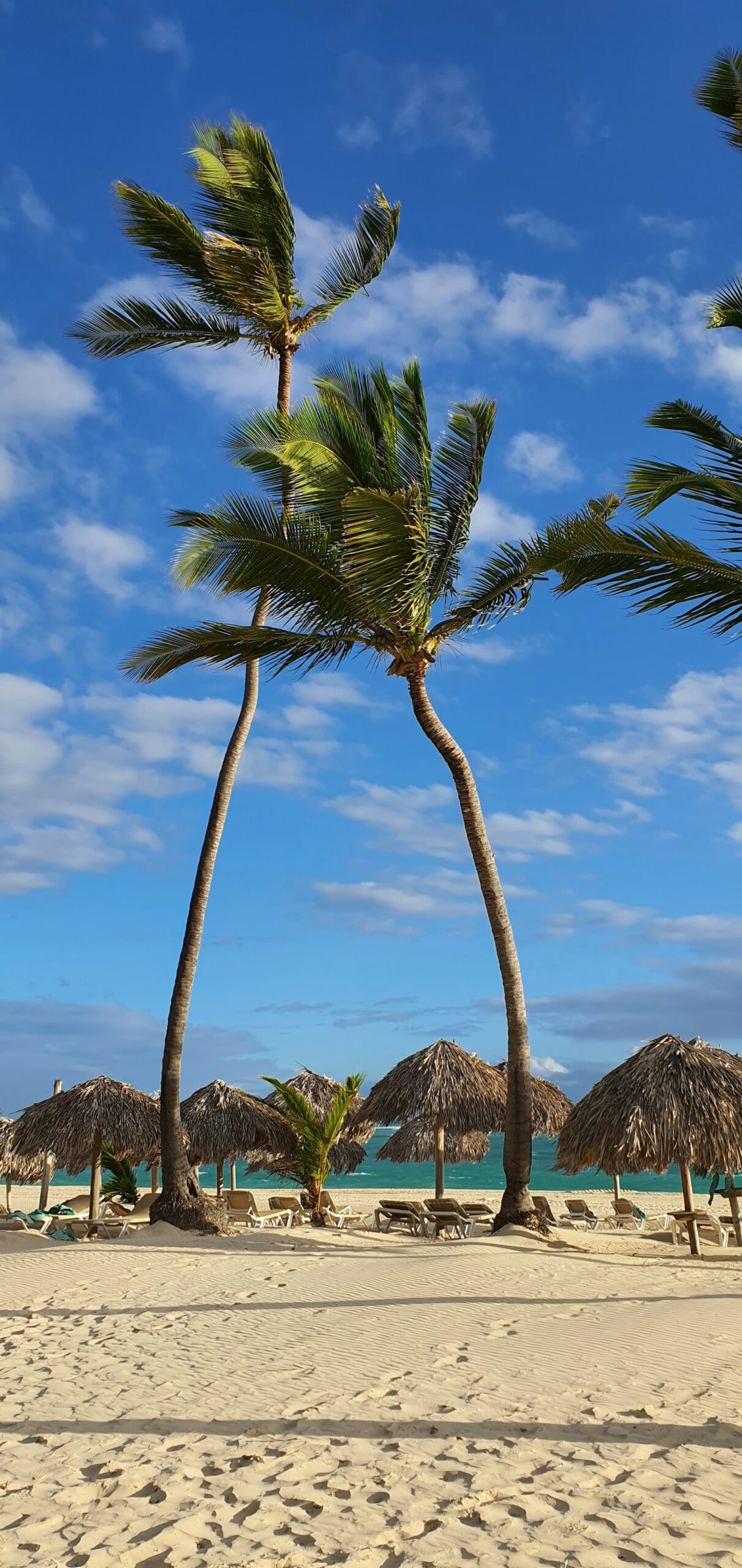 Playa con sombrillas de palma en Punta Cana