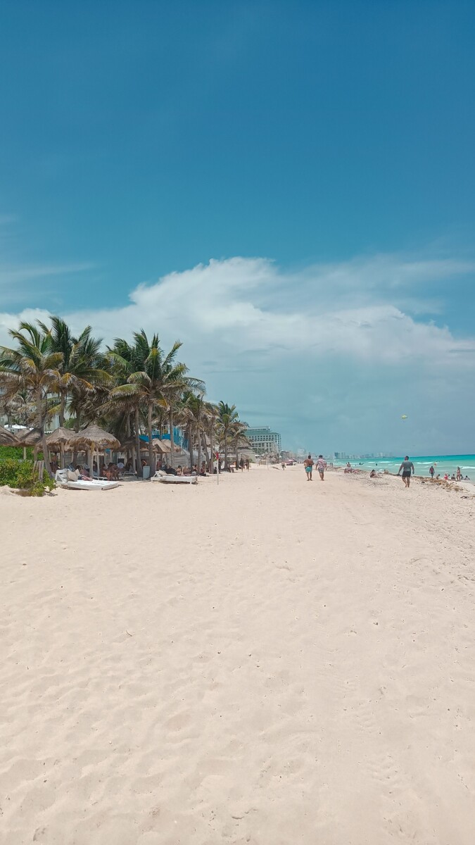 Playa con palmeras en Cancún