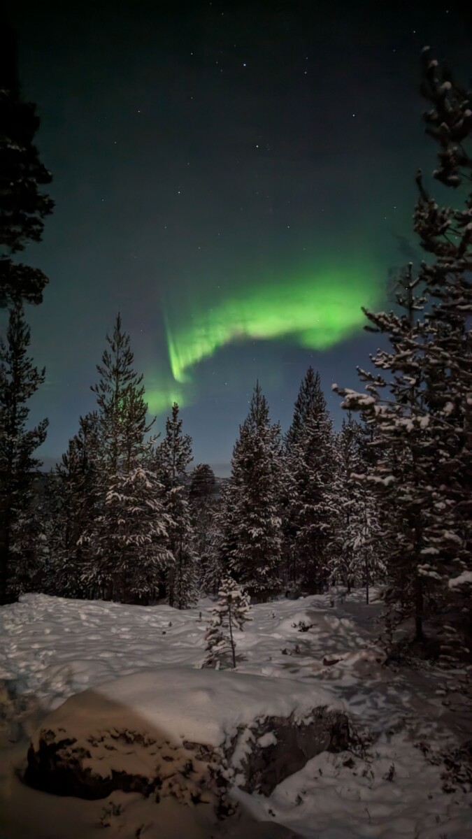 Aurora boreal sobre árboles cubiertos de nieve